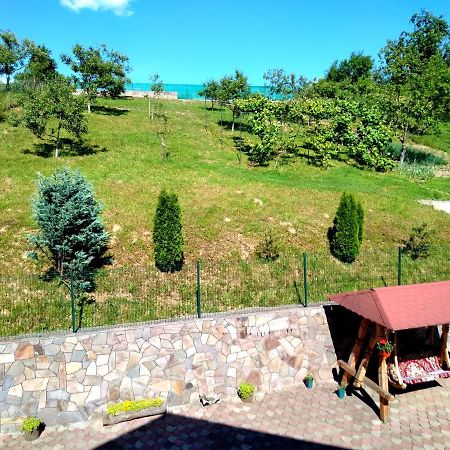 Casa Anca Hotel Sighetu Marmaţiei Екстериор снимка