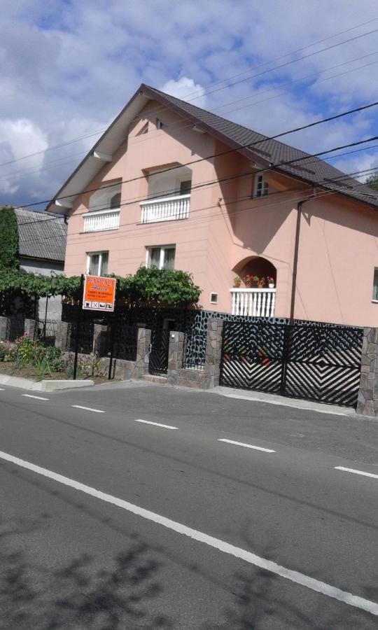 Casa Anca Hotel Sighetu Marmaţiei Екстериор снимка