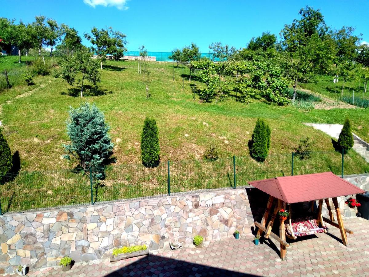 Casa Anca Hotel Sighetu Marmaţiei Екстериор снимка
