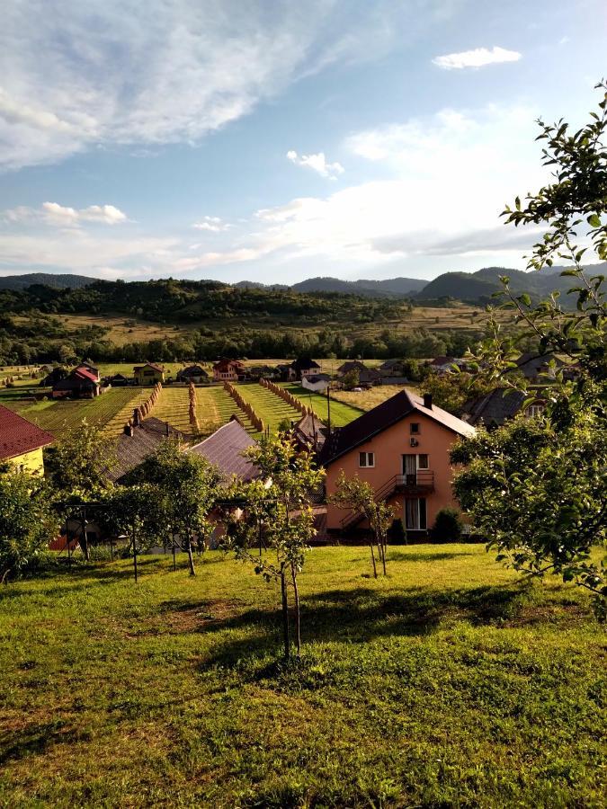 Casa Anca Hotel Sighetu Marmaţiei Екстериор снимка