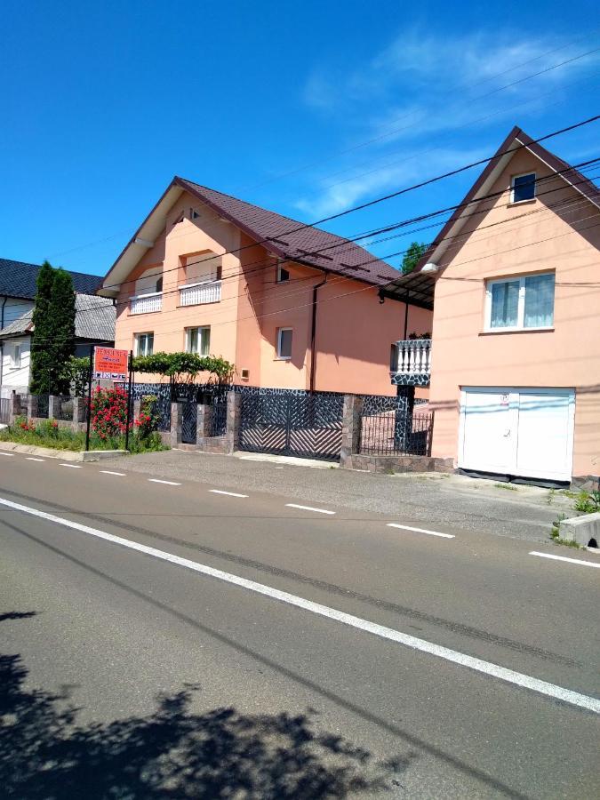 Casa Anca Hotel Sighetu Marmaţiei Екстериор снимка