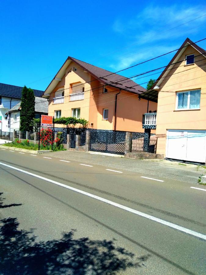 Casa Anca Hotel Sighetu Marmaţiei Екстериор снимка